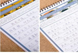 成人练字书法速成视频,跟随视频轻松掌握成人练字技巧