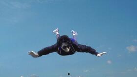 模仿成人剪刀视频,解锁优雅剪影的艺术之旅