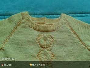 昆虫成人毛衣怎么织视频