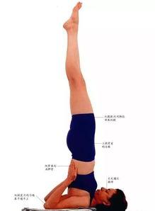 成人胸倒立步骤视频,步骤详解与技巧分享