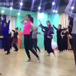 成人的水兵舞蹈视频大全,成人版视频大全赏析