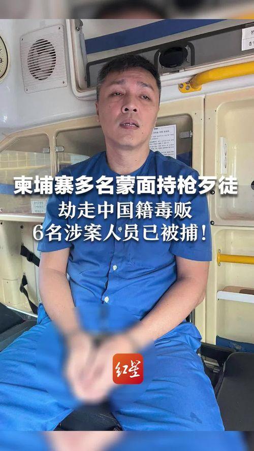 成人短袖棉衣直播视频,时尚保暖，成人短袖棉衣潮流选购指南