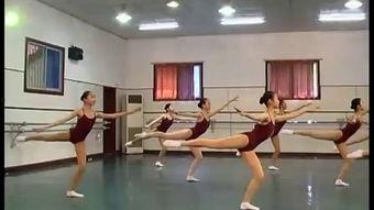 成人反拍训练视频,跟随专业视频教程，轻松掌握反拍技巧