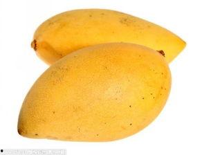 成人吃橙子视频