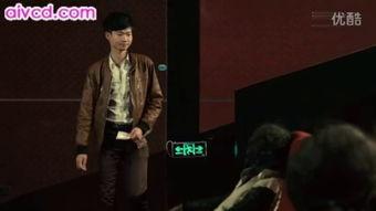 成人午夜私情视频,成人私情视频揭秘