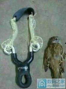 成人奇葩弹弓视频大全集,成人弹弓视频大全集趣味盘点