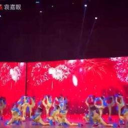 成人跳舞樟树舞蹈视频,成人舞蹈风采展示