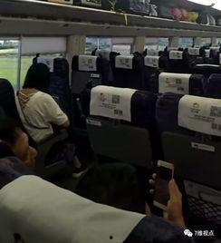 成人高铁列车视频高清,高清视频揭秘现代速度与激情