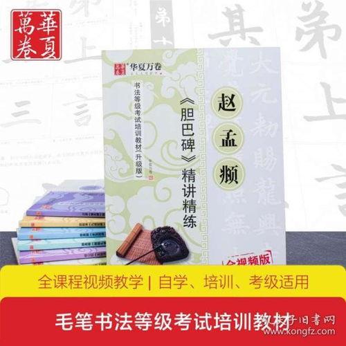 写字教材视频成人版