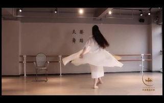 大气感人成人舞蹈视频教学,优雅舞步，释放魅力