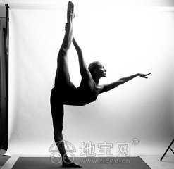 成人健身大皮球视频,轻松塑形，快乐运动新体验