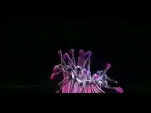 舞蹈成人简单独舞视频