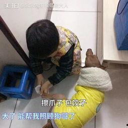 老师视频成人197,回顾与展望